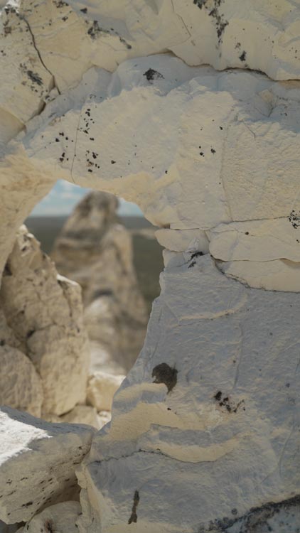 Close-up of the pale diatomaceous earth at our family’s Oregon deposit.